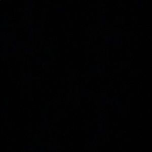 Meet your Posher, Mia